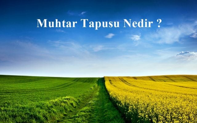 Muhtar tapusu nedir? Ne işe yarar? 45
